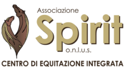 Associazione Spirit Onlus Gubbio Logo